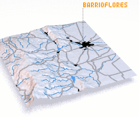 3d view of Barrio Flores