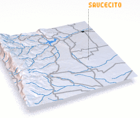 3d view of Saucecito