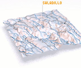 3d view of Saladillo