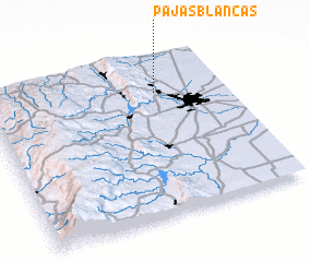 3d view of Pajas Blancas