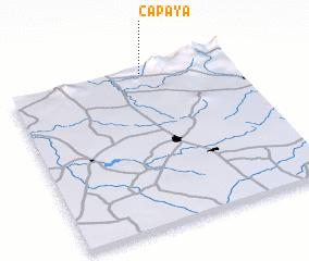 3d view of Capaya