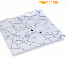 3d view of Tonoroparo