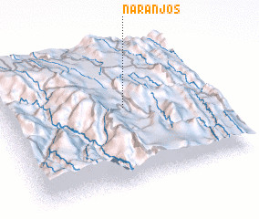 3d view of Naranjos