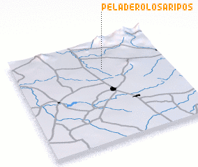 3d view of Peladero Los Aripos