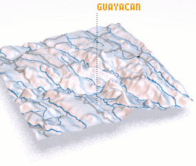 3d view of Guayacán