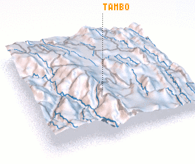 3d view of Tambo