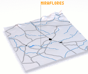 3d view of Miraflores