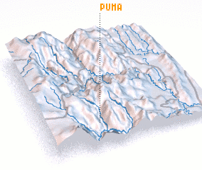 3d view of Puma