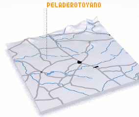 3d view of Peladero Toyano