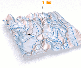 3d view of Tunal