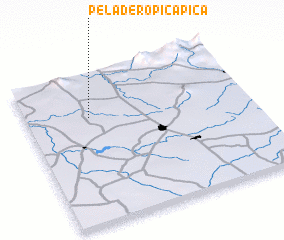 3d view of Peladero Picapica