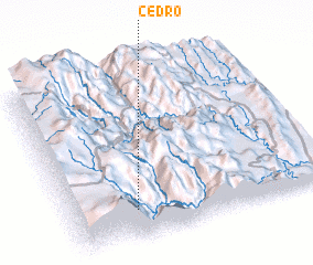 3d view of Cedro