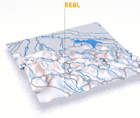 3d view of Real