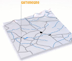 3d view of Gato Negro