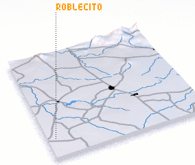3d view of Roblecito