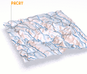 3d view of Pacay