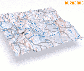 3d view of Duraznos