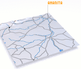 3d view of Amanita