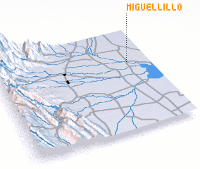 3d view of Miguel Lillo