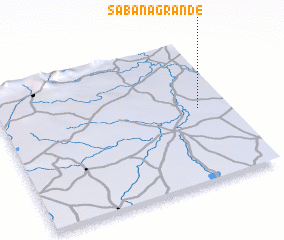 3d view of Sabana Grande