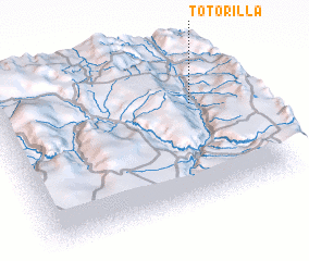 3d view of Totorilla