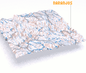 3d view of Naranjos