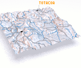 3d view of Totacoa