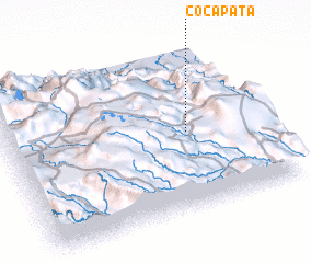 3d view of Cocapata