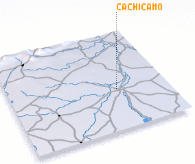 3d view of Cachicamo