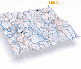 3d view of Tauri