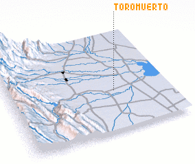 3d view of Toro Muerto