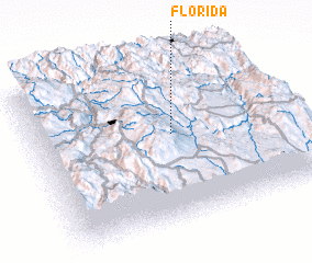 3d view of Florida