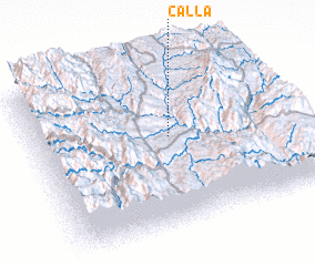 3d view of Calla