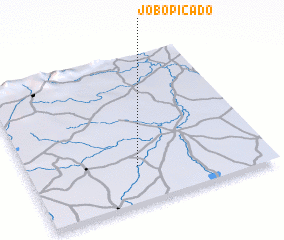 3d view of Jobo Picado