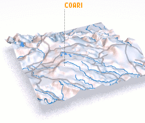 3d view of Coari