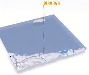 3d view of Bironga