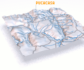 3d view of Pucacasa