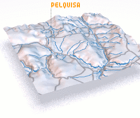 3d view of Pelquisa