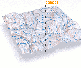 3d view of Panari