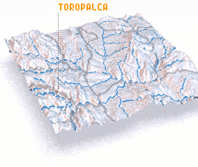 3d view of Toropalca