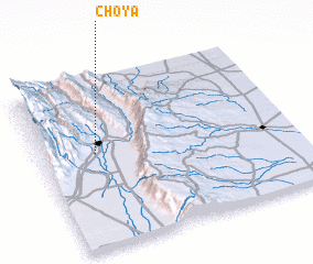 3d view of Choya