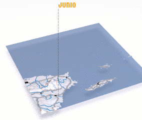 3d view of Junio