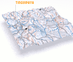 3d view of Tinguipaya