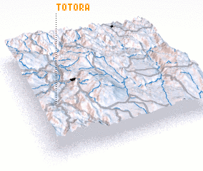 3d view of Totora