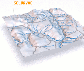 3d view of Selvayoc