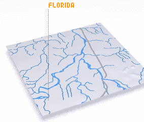 3d view of Florida