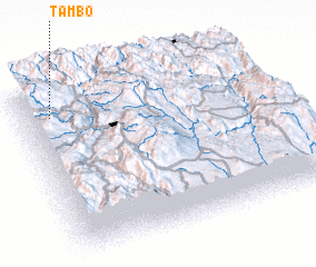 3d view of Tambo