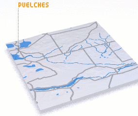 3d view of Puelches