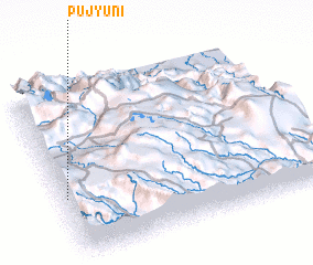 3d view of Pujyuni