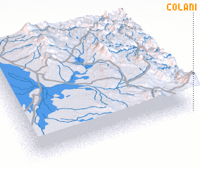 3d view of Colani